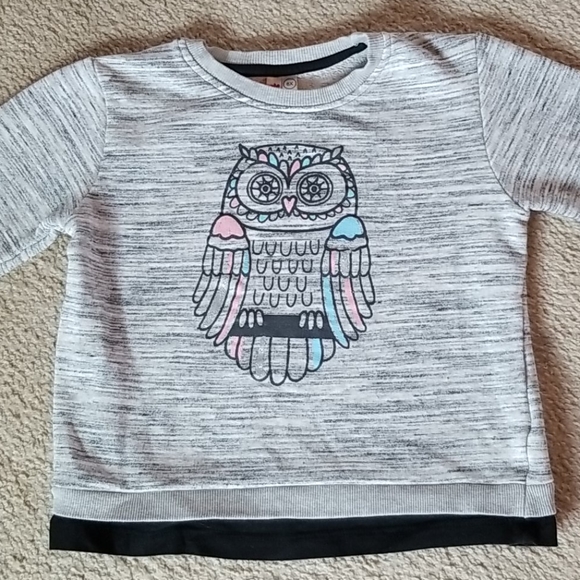 CR Kids Other - ❤ 4/$20 CR Kids Owl Sweatshirt